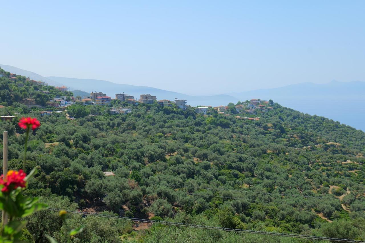 Vila Panorama Piqeras Bed and Breakfast Esterno foto