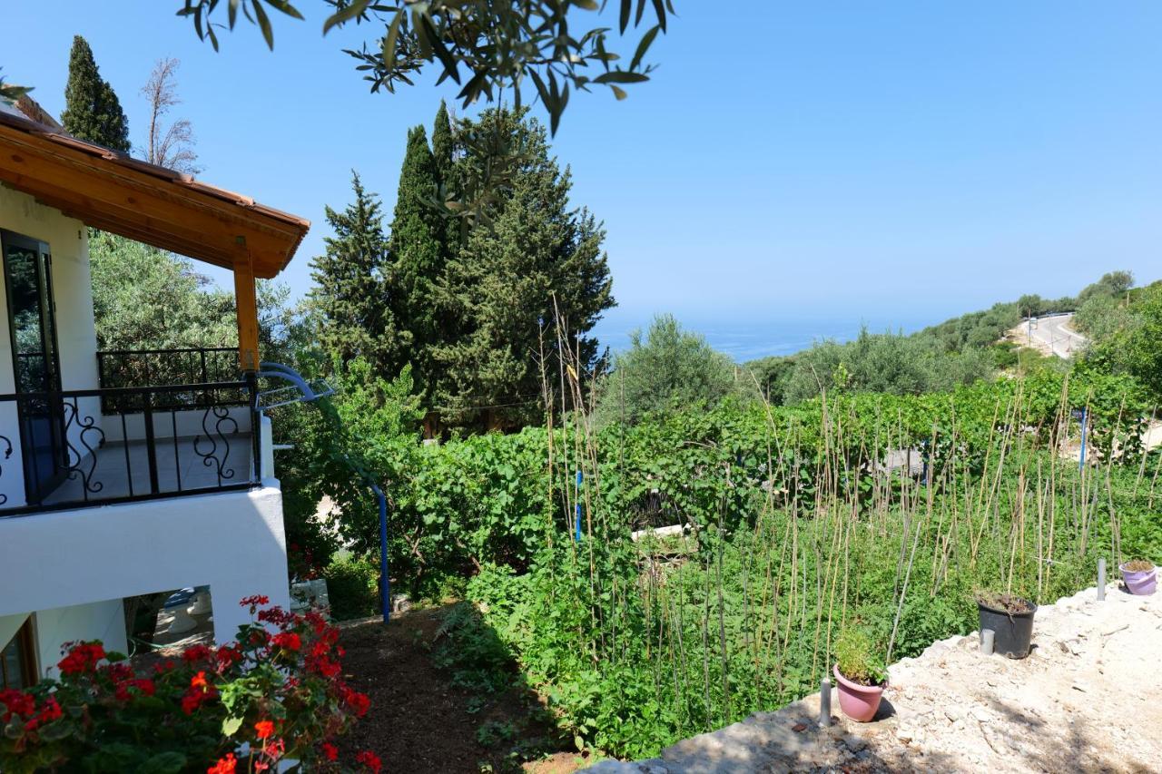 Vila Panorama Piqeras Bed and Breakfast Esterno foto