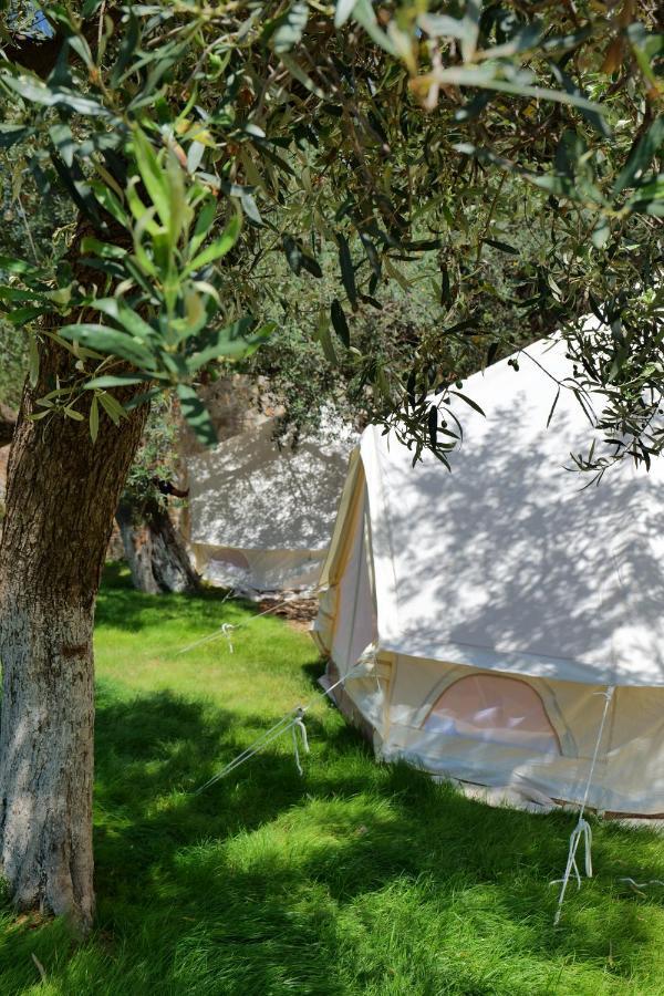 Vila Panorama Piqeras Bed and Breakfast Esterno foto