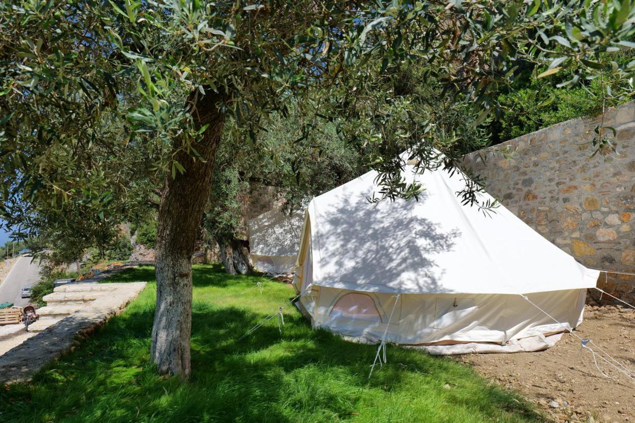 Vila Panorama Piqeras Bed and Breakfast Esterno foto