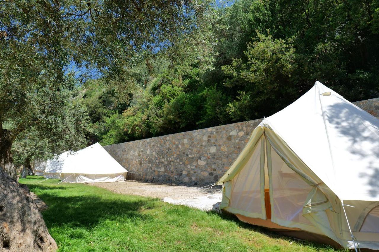 Vila Panorama Piqeras Bed and Breakfast Esterno foto
