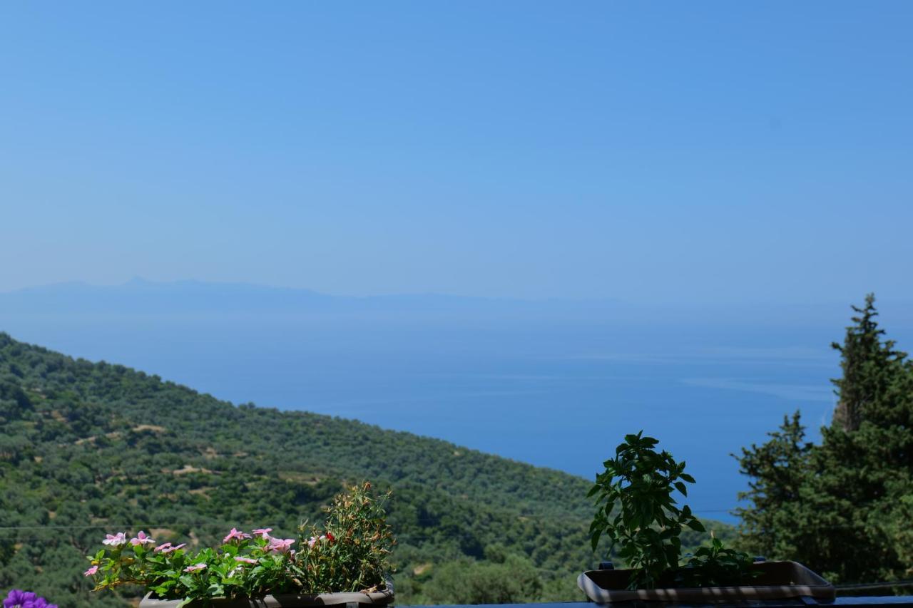 Vila Panorama Piqeras Bed and Breakfast Esterno foto